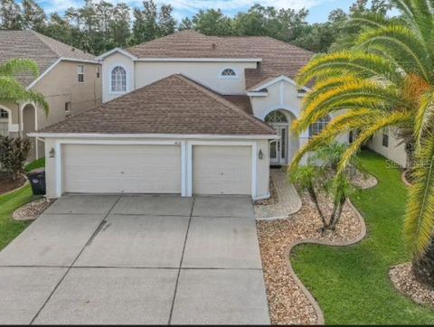 A home in LAND O LAKES