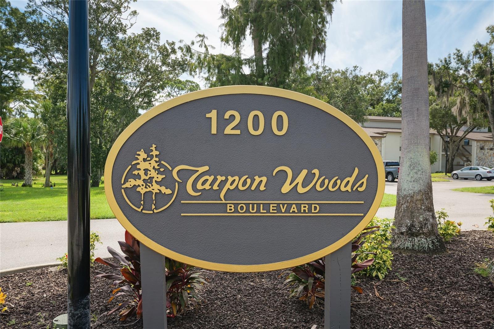 1200 TARPON WOODS BOULEVARD S4