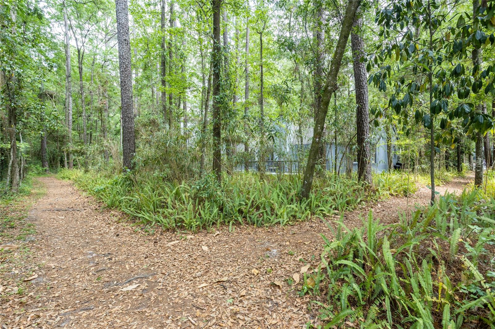 HAILE PLANTATION UNIT 5 - Residential