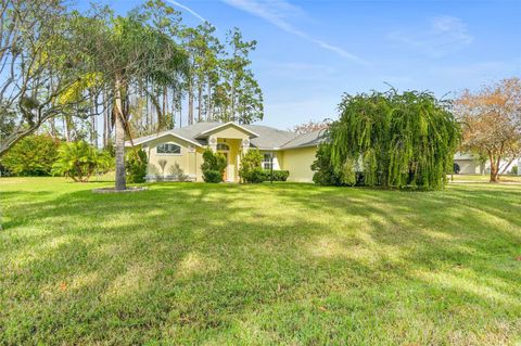 A home in PALM COAST