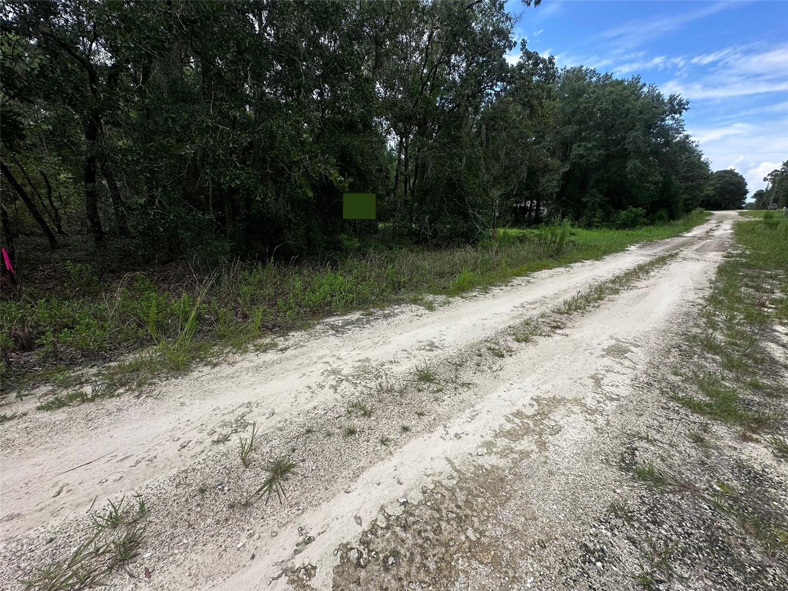 WILLISTON HYLNDS GOLF & C CLUB ESTATE - Land