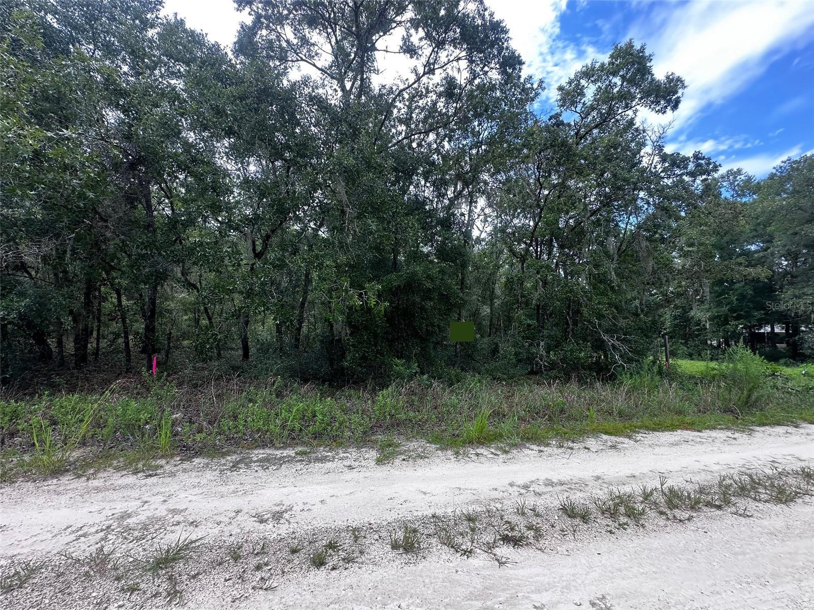 WILLISTON HYLNDS GOLF & C CLUB ESTATE - Land