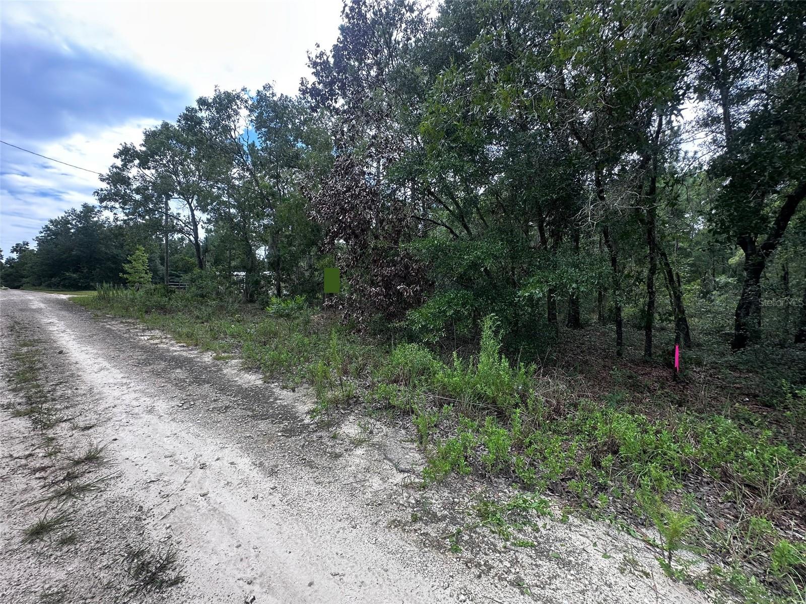 WILLISTON HYLNDS GOLF & C CLUB ESTATE - Land