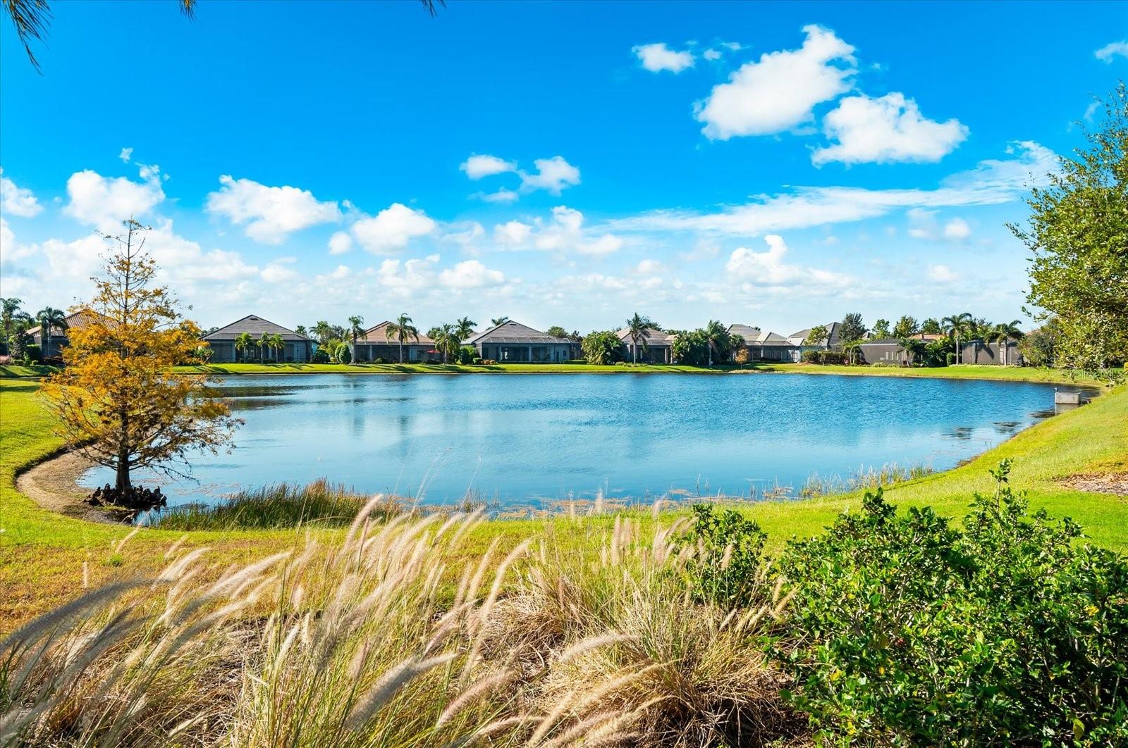 COUNTRY CLUB EAST AT LAKEWD RNCH VV2 - Residential