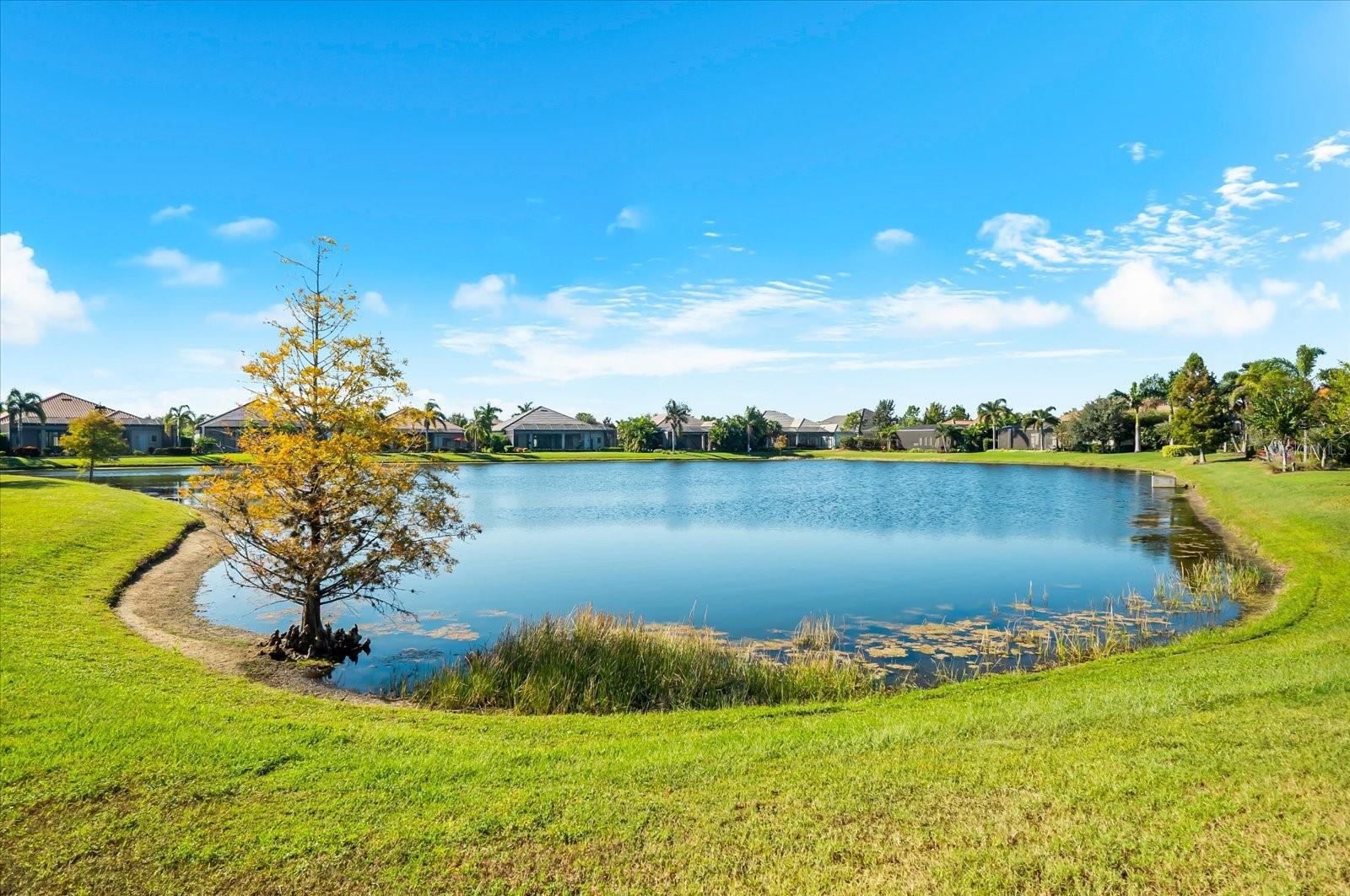 COUNTRY CLUB EAST AT LAKEWD RNCH VV2 - Residential