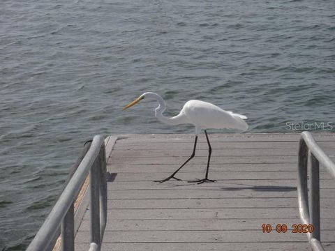 A home in CLEARWATER