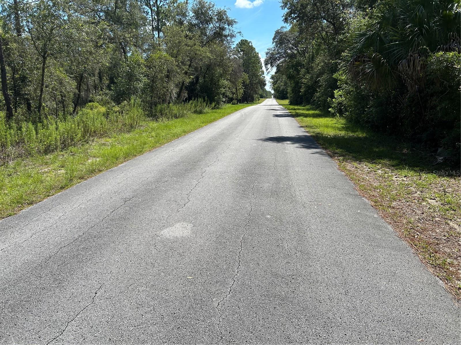 1 Acre in Rainbow Lakes Estates. Only 30 minutes to Ocala, 15 Minutes to Williston and 25 minutes to Crystal River for access to Great Fishing in the Gulf of America! And only 15 minutes to the World Equestrian Center! Just a short drive to the Beautiful Rainbow River and Springs.
