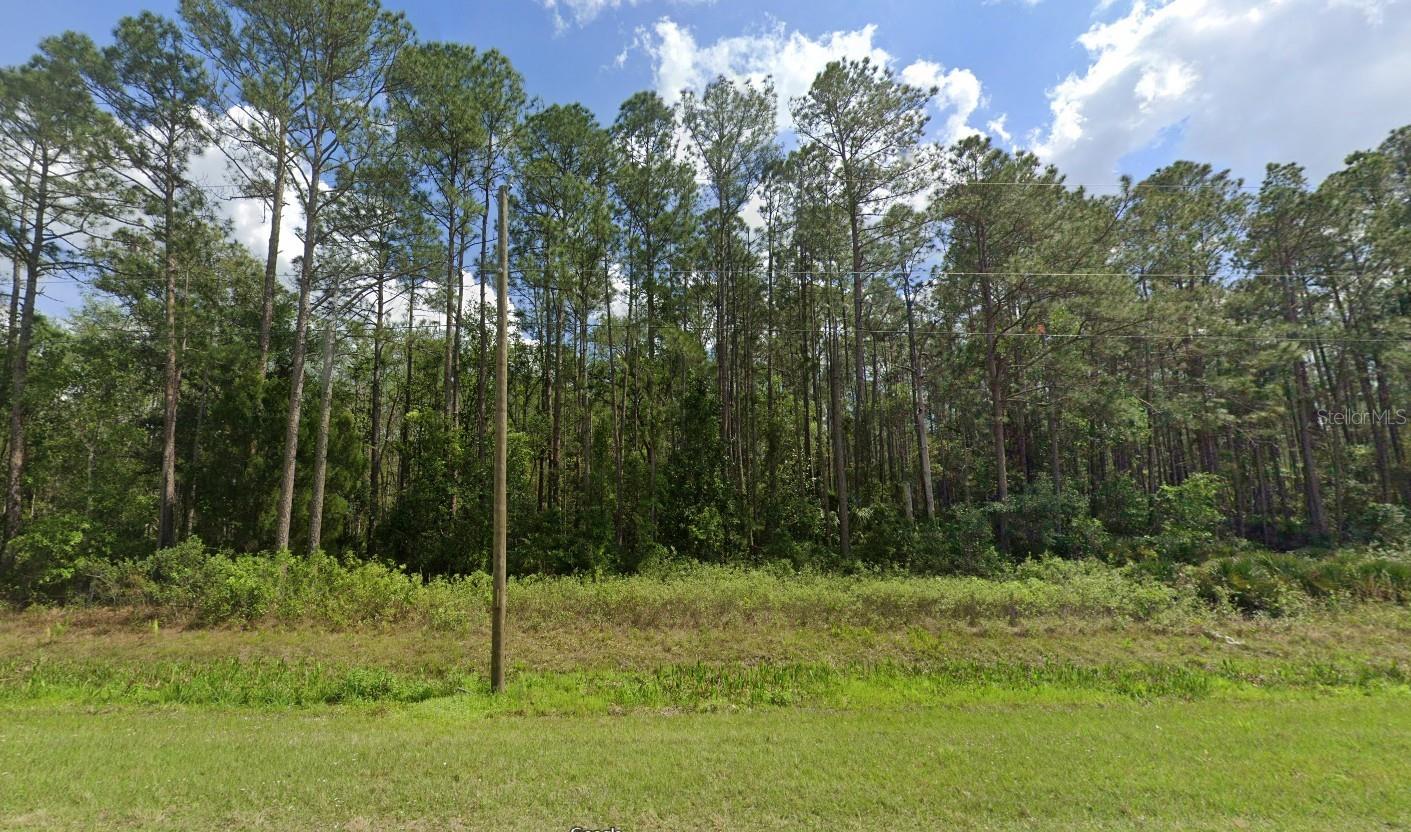 Don't miss this rare opportunity to own Hwy 92 Frontage with access from Big John Road. Thus is 5 parcels to be sold as one. The parcels form a 6.64 acre ''U'' shaped property with unlimited potential. From Hwy 92 Turn South at The Reptile Discovery Center Big John Rd. to left at end. That is the lot. This one is now priced to sell so call today.