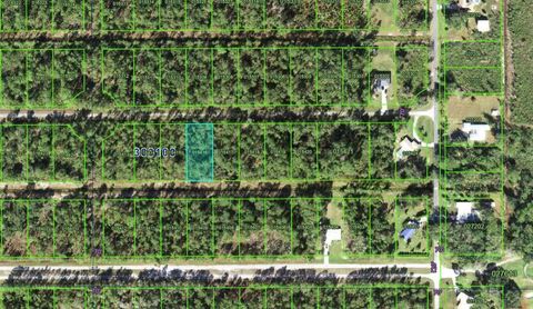 217 PLUMOSA DRIVE INDIAN LAKE ESTATES FL 33855