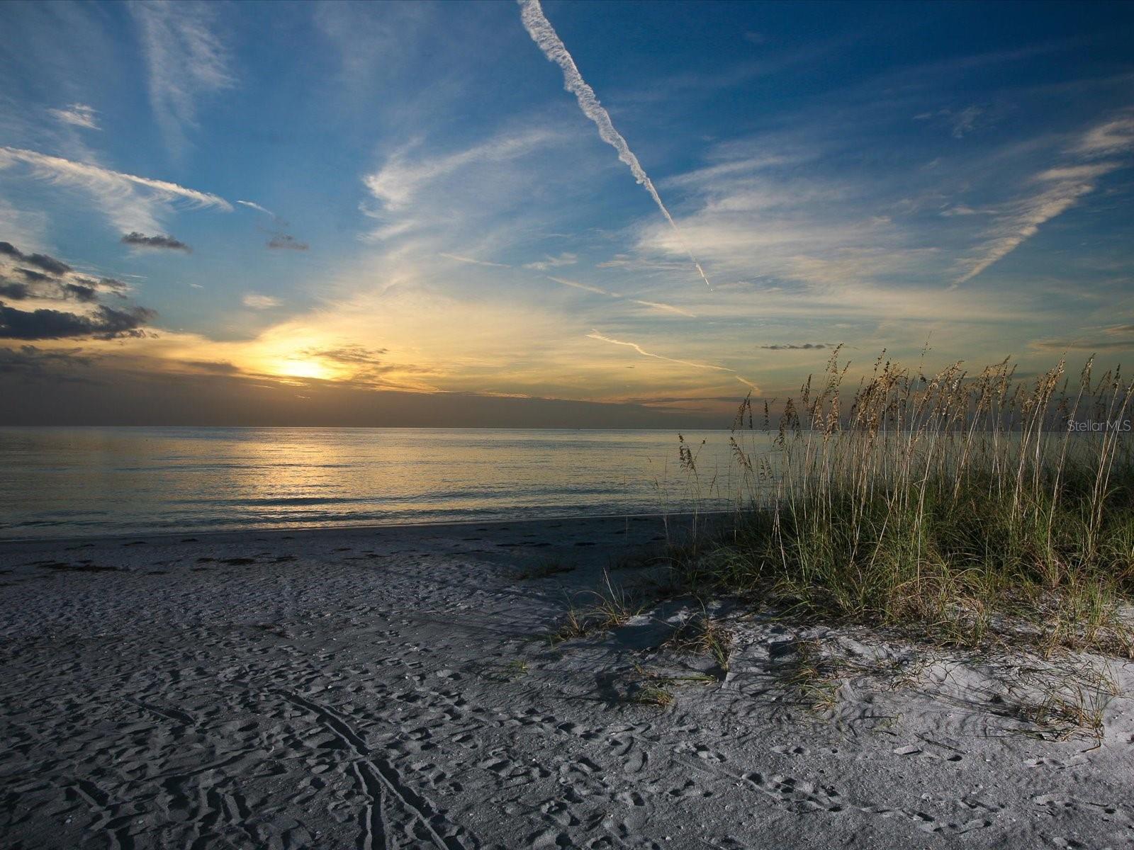 CONDO ON THE BAY TOWER II - Residential