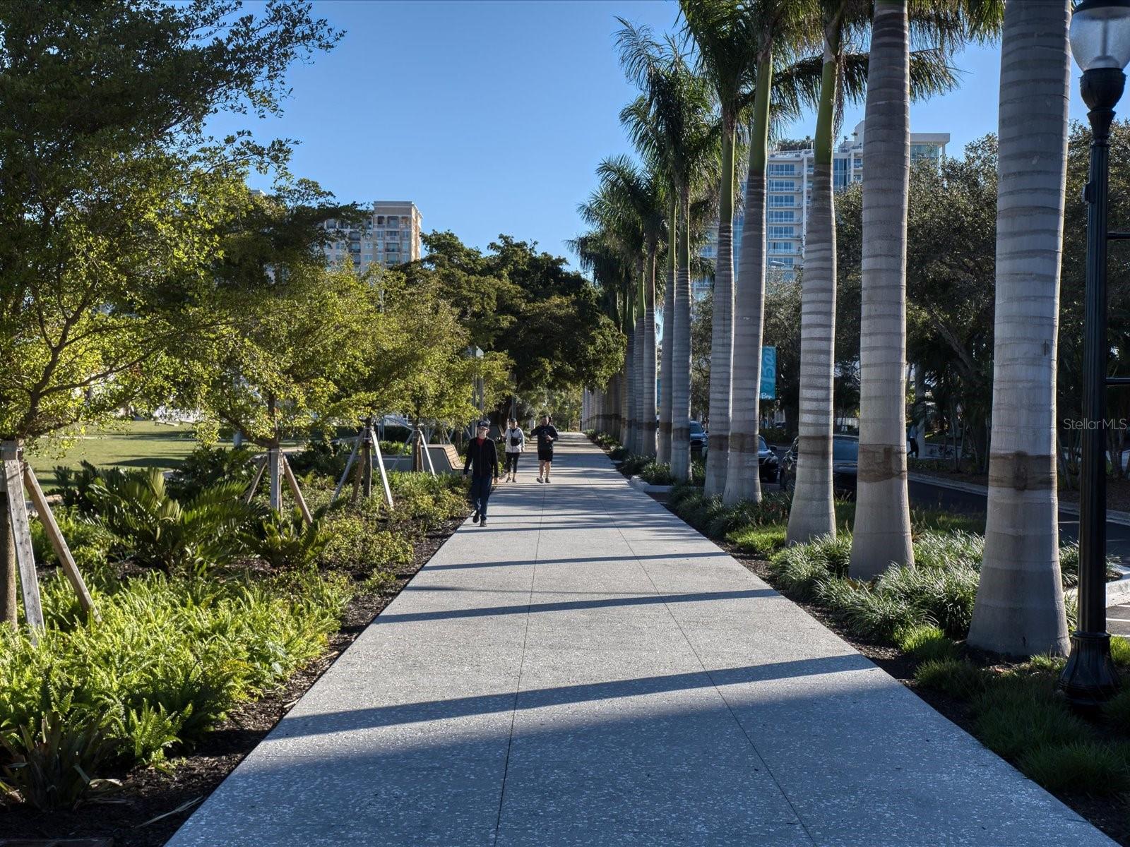 CONDO ON THE BAY TOWER II - Residential