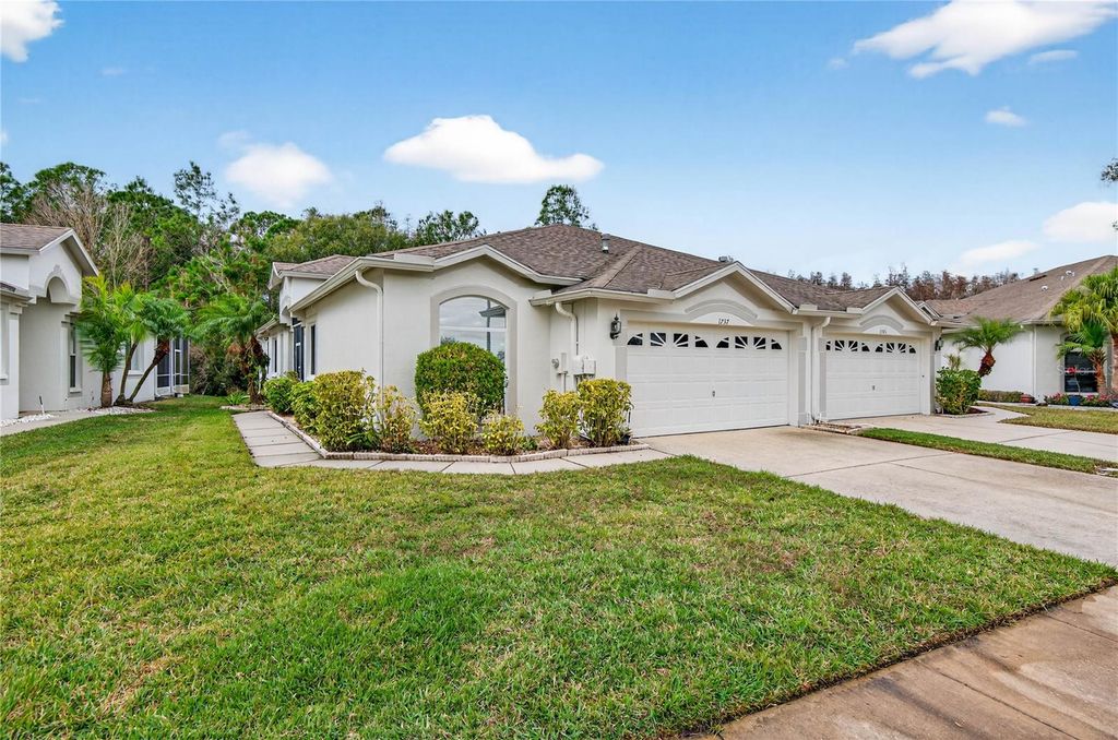 Photo of 1737 Sassafras Drive, Wesley Chapel, FL 33543 (MLS # TB8465239)