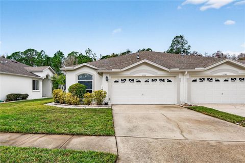 1737 SASSAFRAS DRIVE WESLEY CHAPEL FL 33543