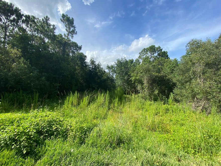 Enjoy all the privacy this 5 acre lot has to offer! Still close to the beach, I-4, I-95, Lake Ashby, shopping & more! Country living but still close all the conveniences! Zoning is A2 - Rural Agricultural which allows for a single family standard or manufactured modular dwelling with a minimum of 750 SF of livable floor area. Wetlands on property. No wetlands reports provided. Buyers to do their own due diligence. Please direct any building, zoning, environmental, and/or permitting related questions to Volusia County. All information is intended to be accurate but is not guaranteed.; Cleared: No