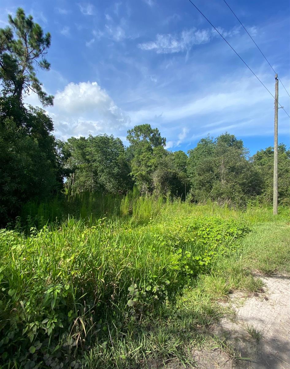 Howe & Curriers - Land