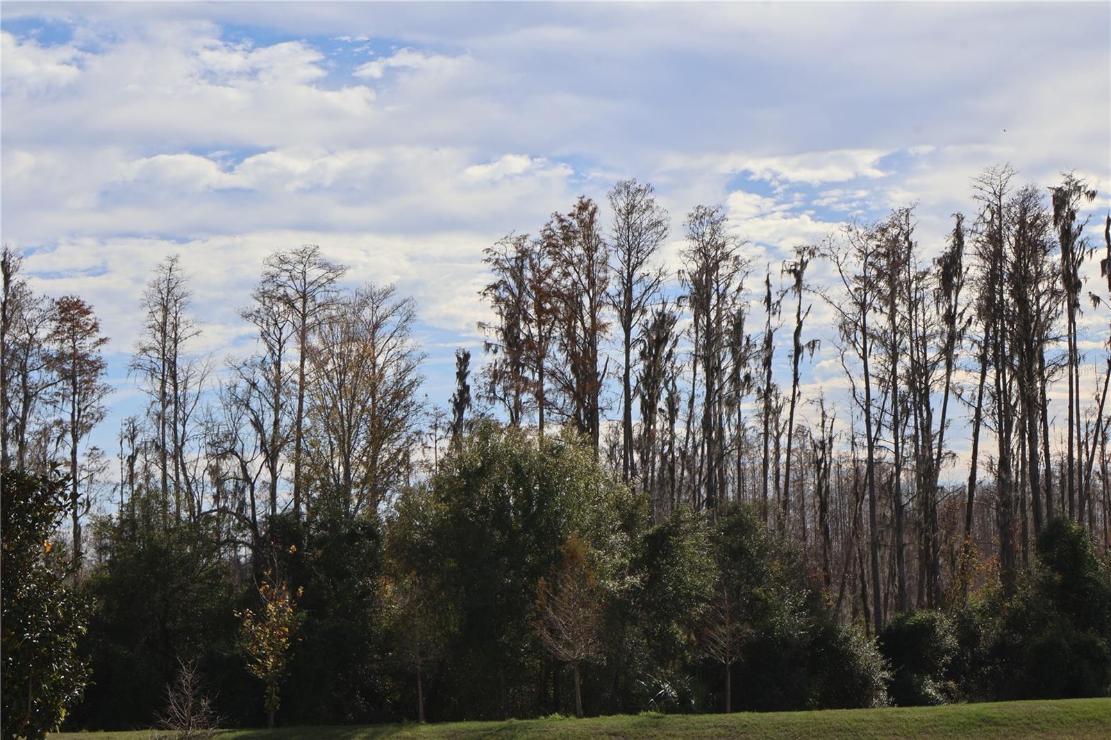 CAGAN CROSSINGS WEST PHASE 1 - Residential Lease