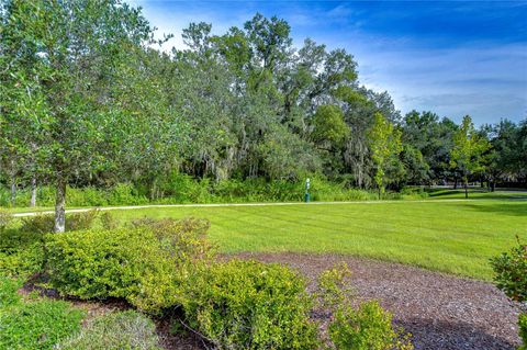 A home in ZEPHYRHILLS