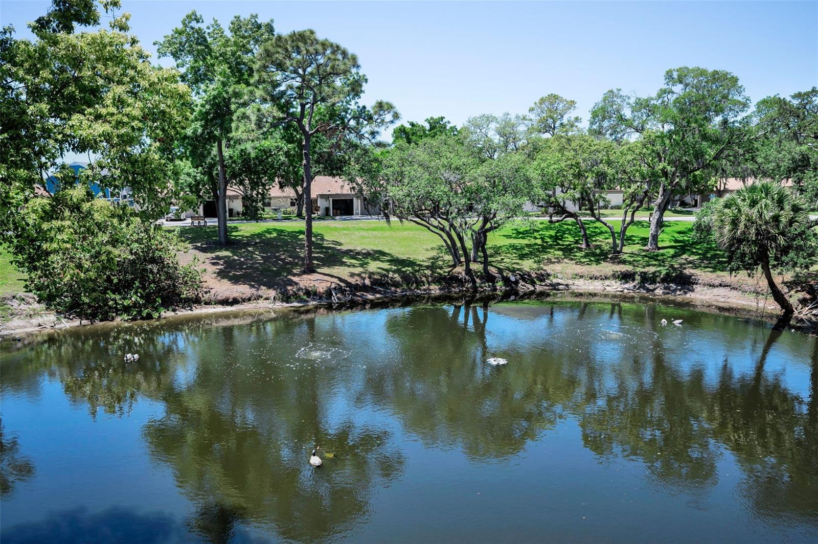 GREEN DOLPHIN PARK CONDO - Residential