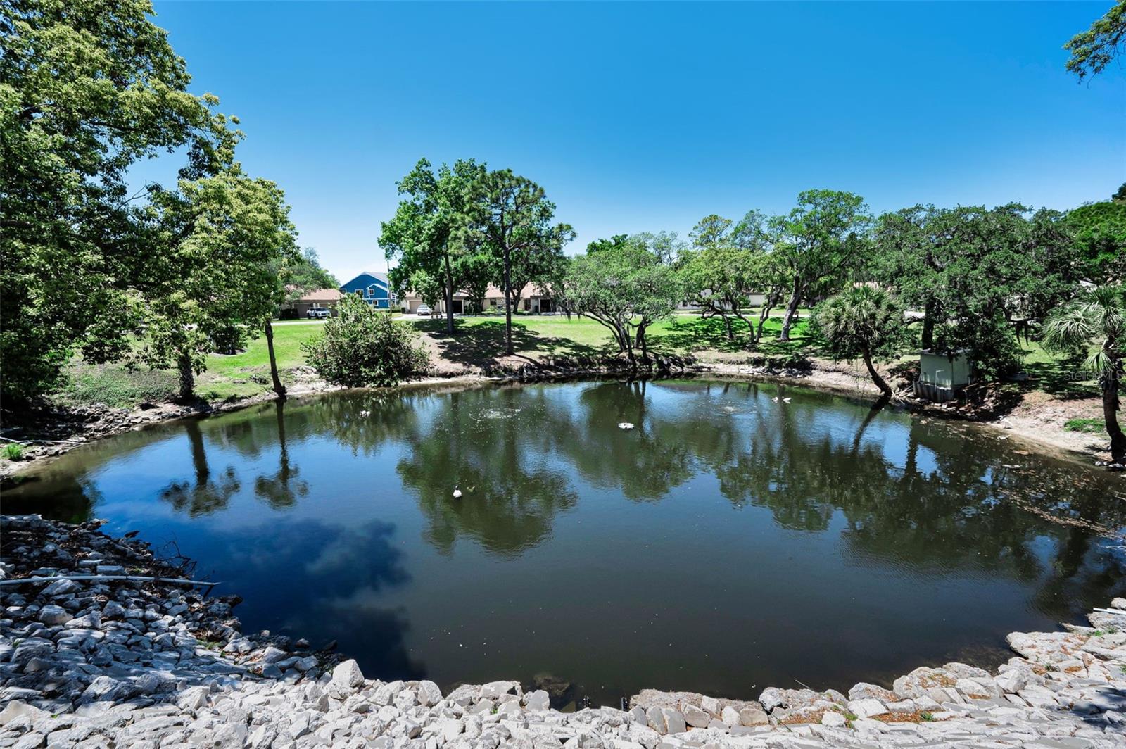 GREEN DOLPHIN PARK CONDO - Residential