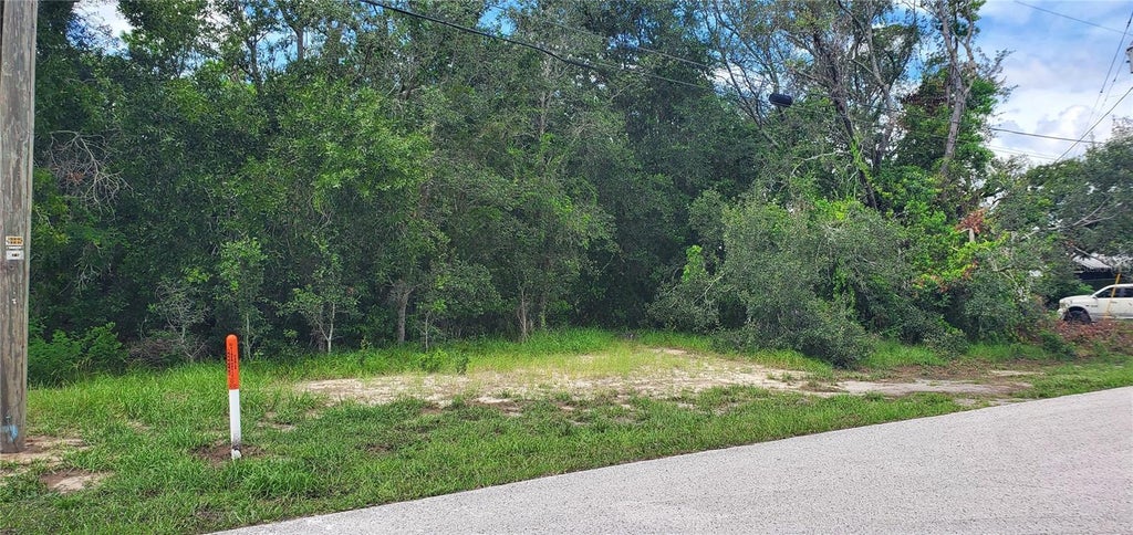 Photo of Spring Hill, FL 34606 (MLS # W7889108)