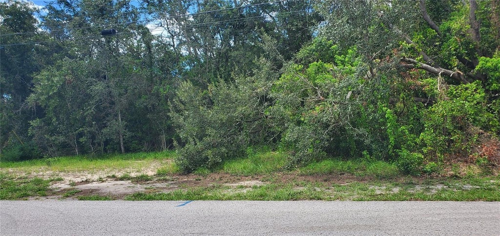 Photo of Spring Hill, FL 34606 (MLS # W7889108)