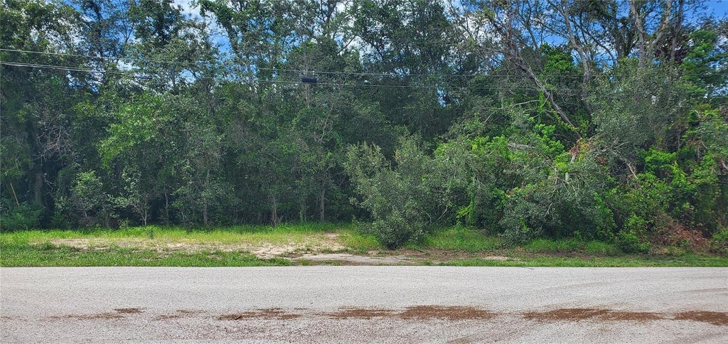 Photo of Spring Hill, FL 34606 (MLS # W7889108)