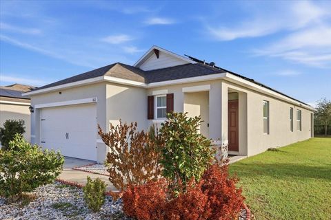 Photo of 812 Brooklet Drive, Davenport, FL 33837 (MLS # S5144992)