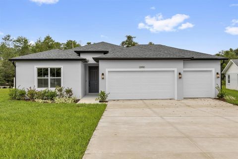 13990 SW 34TH TERRACE ROAD OCALA FL 34473