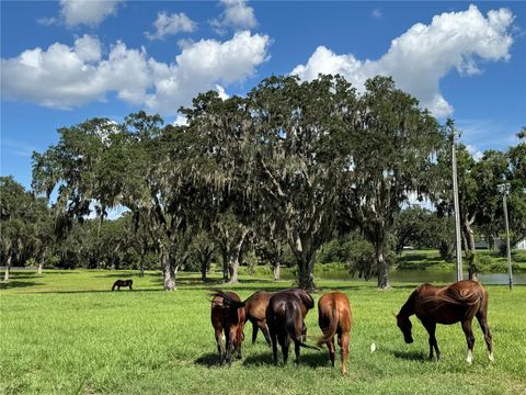 Tiny photo for 5540 SE 157th Street Rd, Summerfield, FL 34491 (MLS # OM704718)