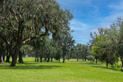 Tiny photo for 5540 SE 157th Street Rd, Summerfield, FL 34491 (MLS # OM704718)