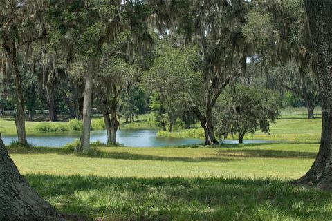 Tiny photo for 5540 SE 157th Street Rd, Summerfield, FL 34491 (MLS # OM704718)