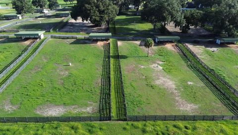Tiny photo for 5540 SE 157th Street Rd, Summerfield, FL 34491 (MLS # OM704718)
