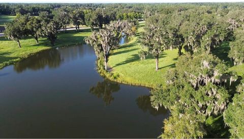 Tiny photo for 5540 SE 157th Street Rd, Summerfield, FL 34491 (MLS # OM704718)