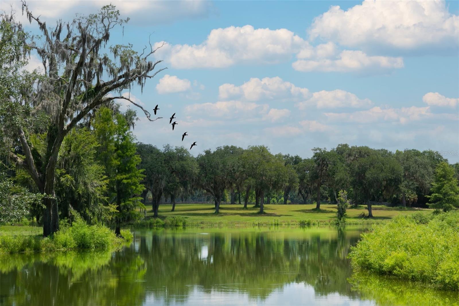 SILVERLEAF HILLS - Residential