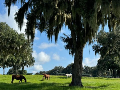 Tiny photo for 5540 SE 157th Street Rd, Summerfield, FL 34491 (MLS # OM704718)