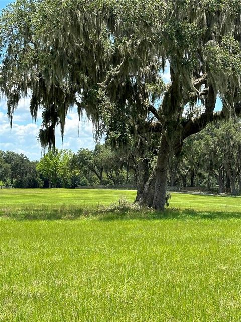 Tiny photo for 5540 SE 157th Street Rd, Summerfield, FL 34491 (MLS # OM704718)