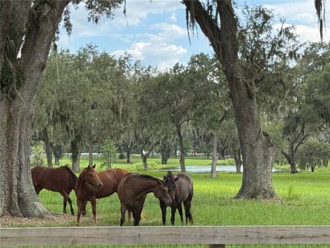 Tiny photo for 5540 SE 157th Street Rd, Summerfield, FL 34491 (MLS # OM704718)