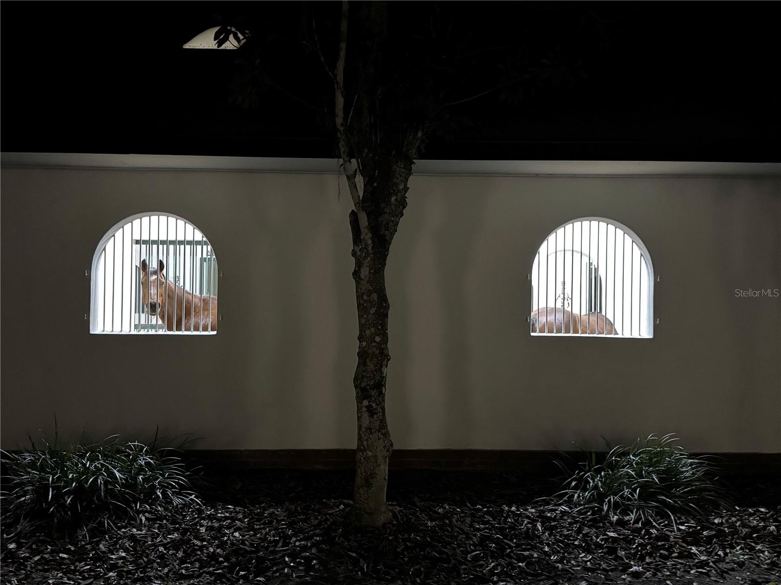 5540 SE 157TH STREET ROAD