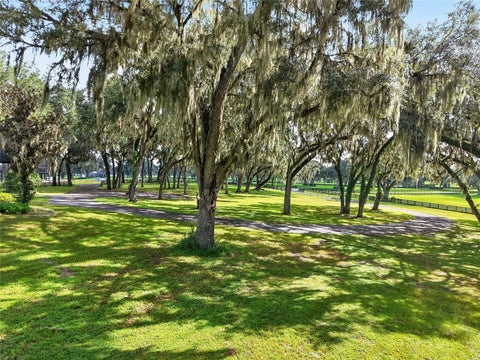 Tiny photo for 5540 SE 157th Street Rd, Summerfield, FL 34491 (MLS # OM704718)