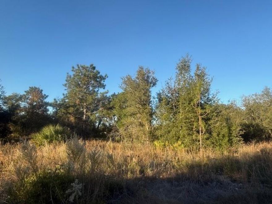 Great choice for an easily buildable lot in Silver Springs Shores with easy access to Belleview, Ocala, or Lake Weir. High and dry in flood zone X. Mostly cleared lot on a paved street with electric close by.