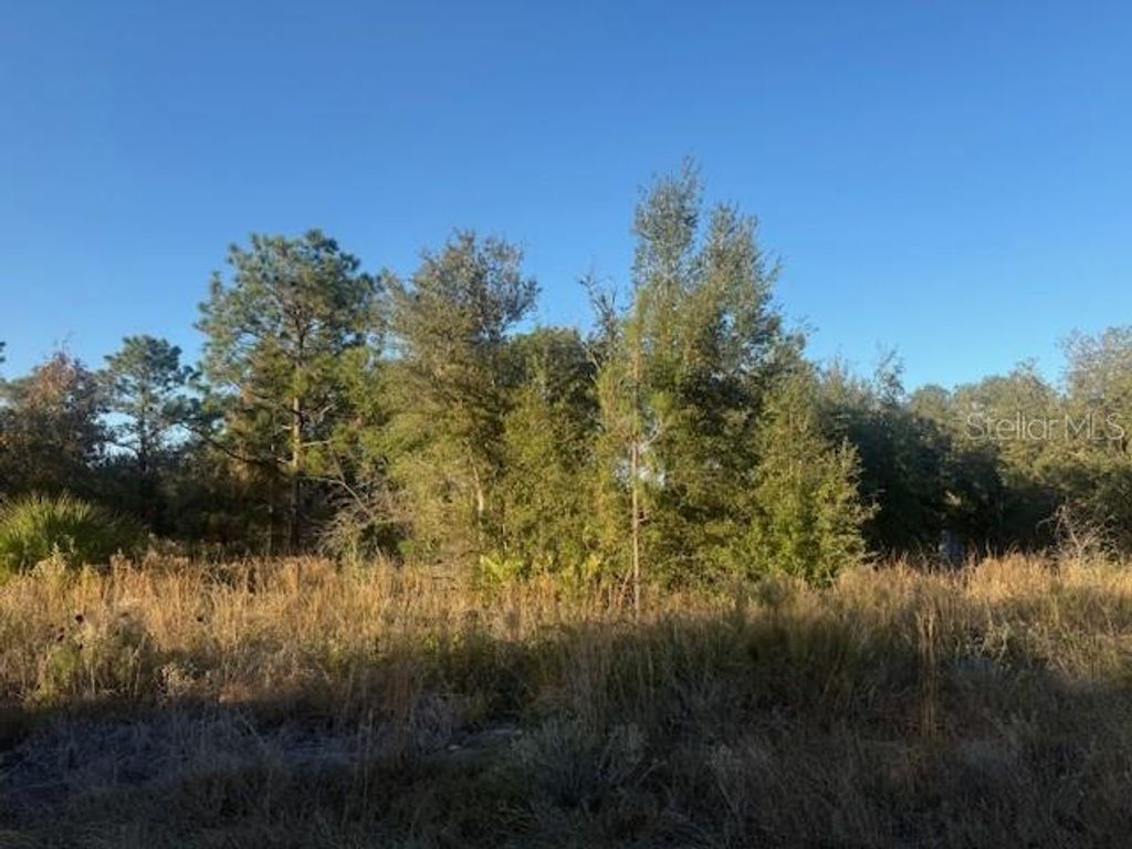 Photo of Magnolia Drive, Ocklawaha, FL 32179 (MLS # OM715133)