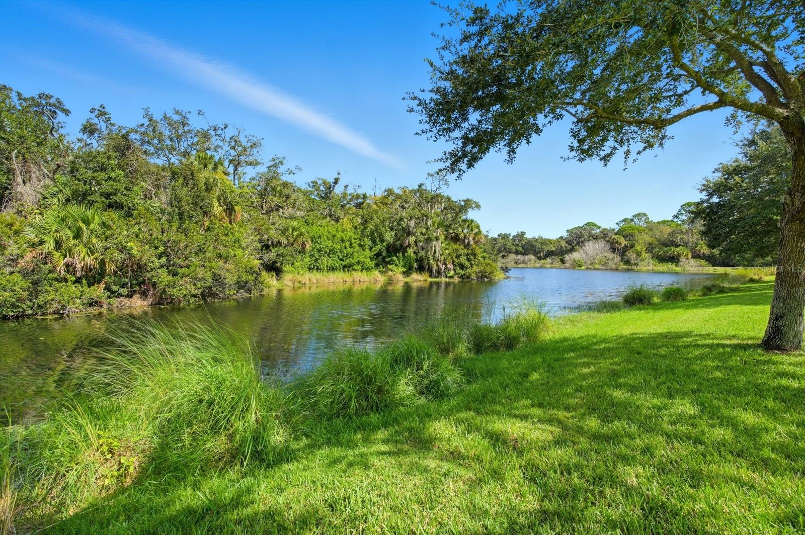 GRAND HAVEN - Residential