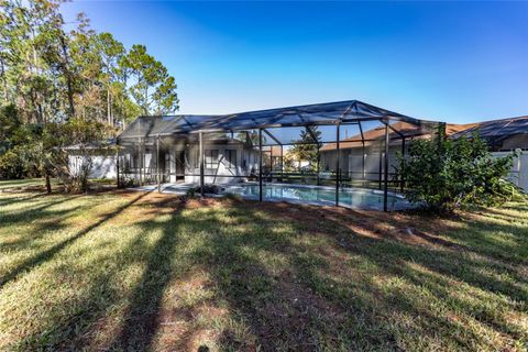 A home in PALM COAST