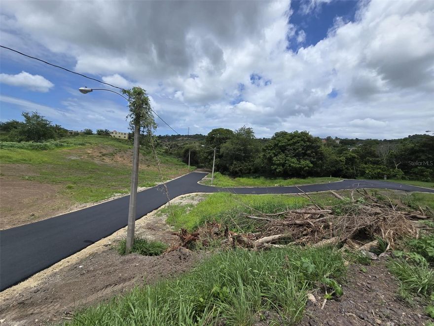 Lot in the desirable town of Cabo Rojo, specifically in Boquerón. NO RESTRICTIONS! Located in a subdivision of 10 lots.Lot #9. It includes a water meter and street lighting. The access road is paved. Don't miss this opportunity! It could be yours - Call today for more information. Would you like a more formal version or one tailored for a rest estate listing?