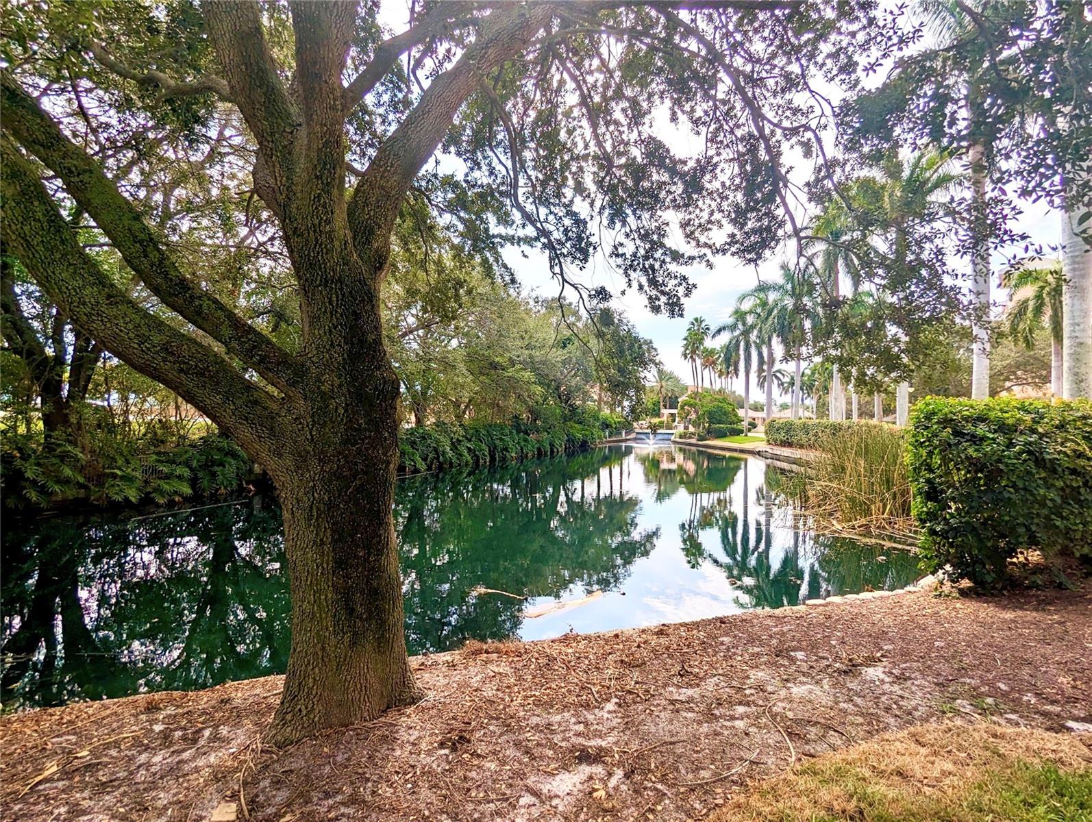 BACOPA BAY CONDO - Residential Lease