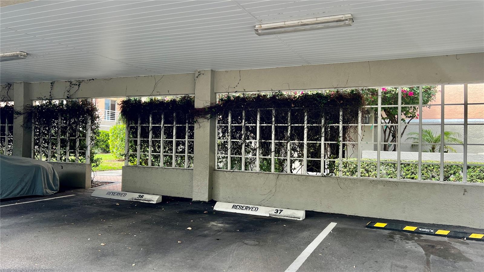 BACOPA BAY CONDO - Residential Lease