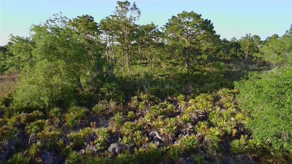 Photo of Reynolds Parkway, Orlando, FL 32833 (MLS # S5147004)