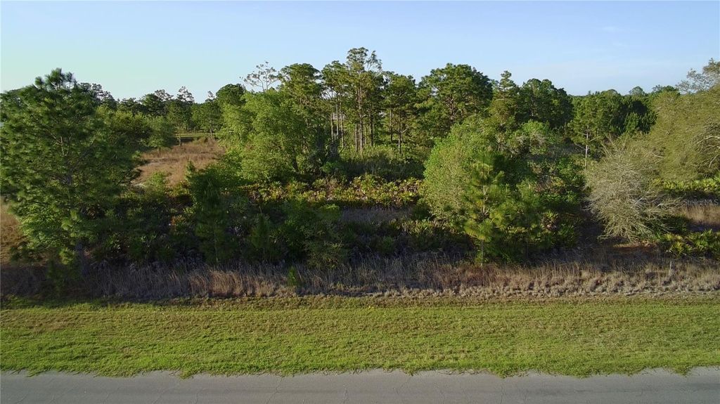 Photo of Reynolds Parkway, Orlando, FL 32833 (MLS # S5147004)