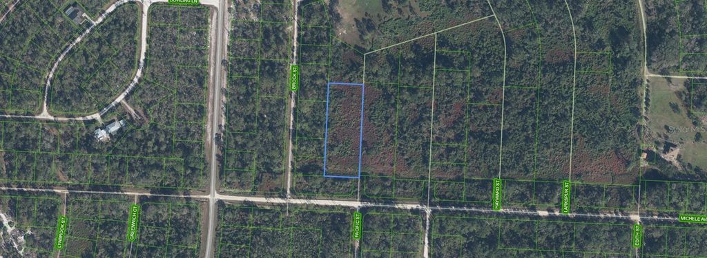 Photo of 810 Pacific Street, Lake Placid, FL 33852 (MLS # C7519786)