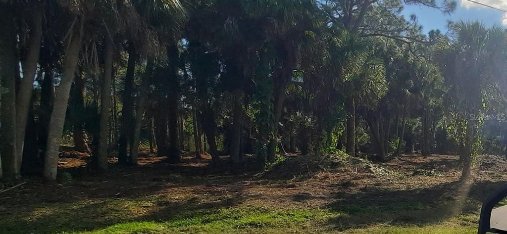 Photo of 9353 Portillo Avenue, Englewood, FL 34224 (MLS # O6175072)